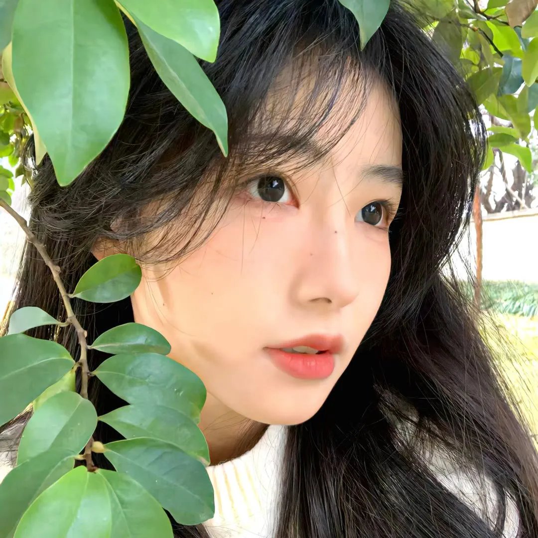 美国派:集体露营